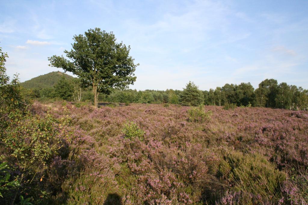 B&B Crijbohoeve Zutendaal Exteriör bild