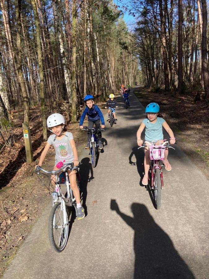 B&B Crijbohoeve Zutendaal Exteriör bild