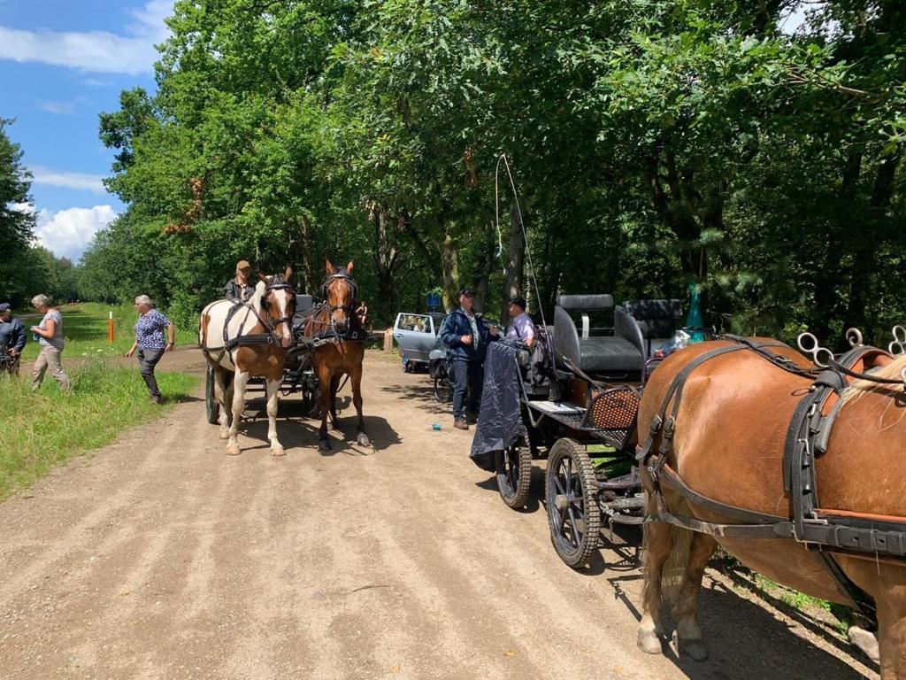 B&B Crijbohoeve Zutendaal Exteriör bild