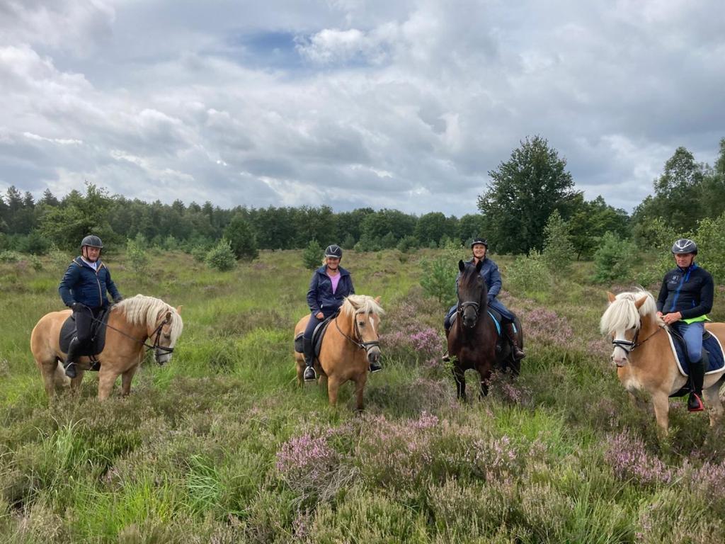 B&B Crijbohoeve Zutendaal Exteriör bild