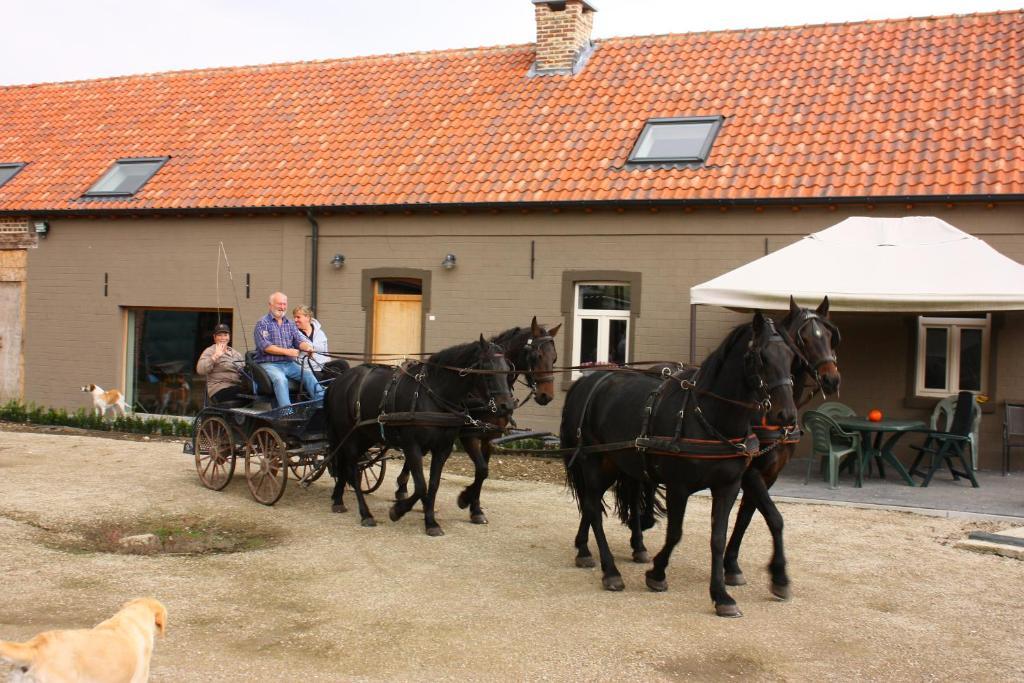 B&B Crijbohoeve Zutendaal Exteriör bild